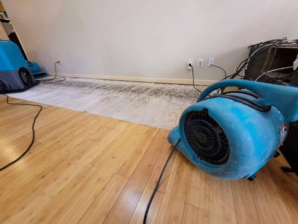 Professional Emergency Water Damage technician working in Kingston, NY